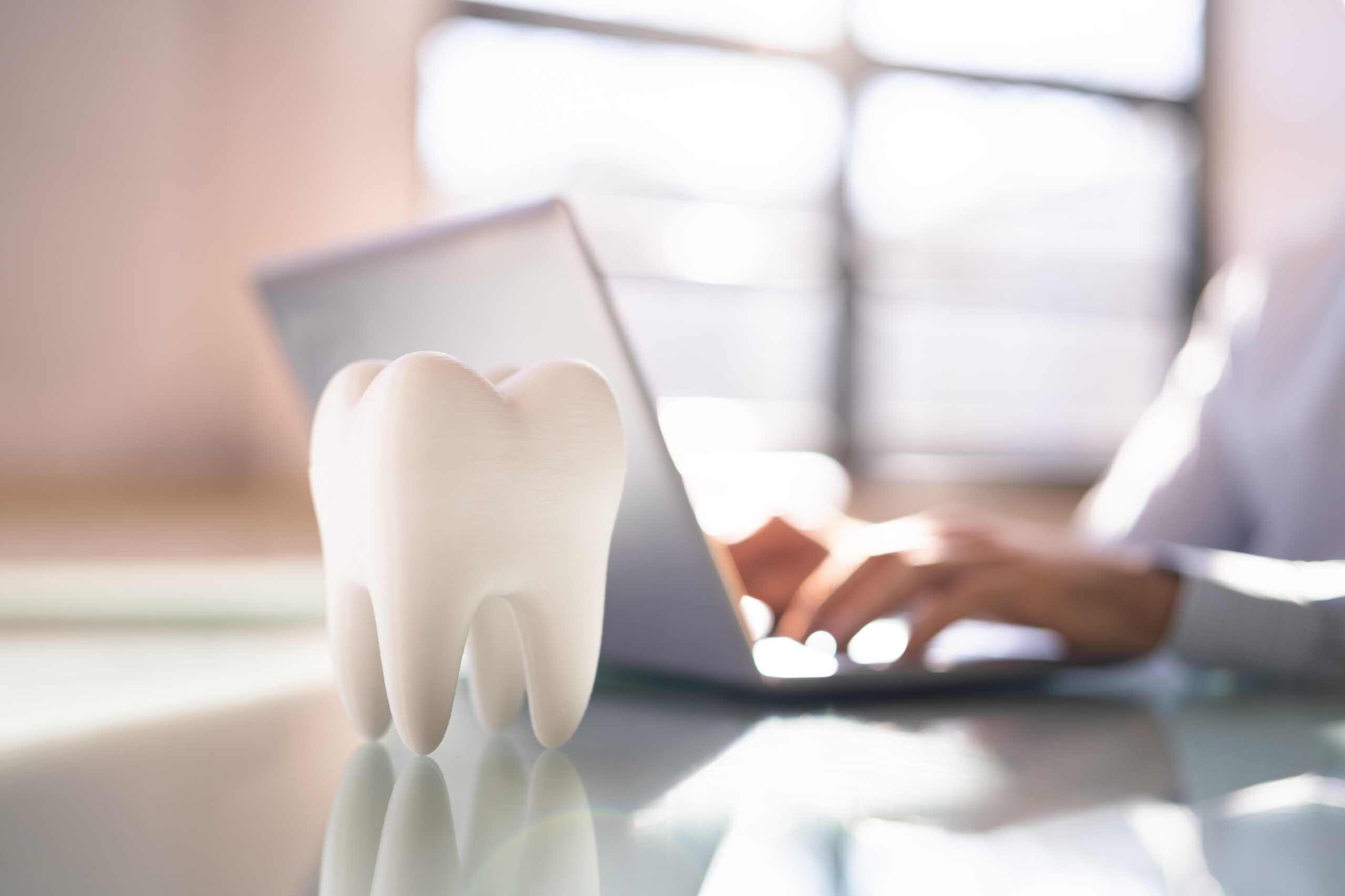 Lippert Dentaltechnik Jobs